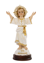 Kit Divino Niño Jesús + Camándula + obsequio imagen Virgen del Carmen