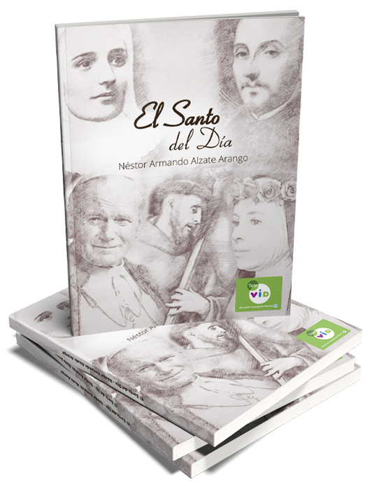 Libro El Santo del Dia Tomo II
