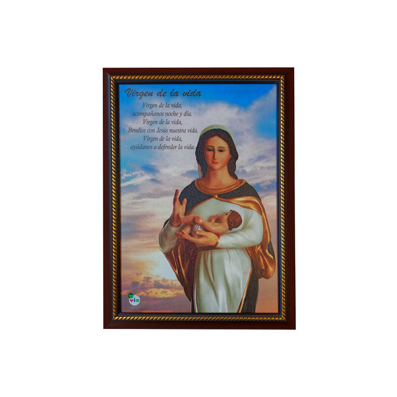 Cuadro Virgen de la Vida