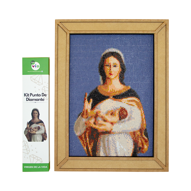 Kit Punto de Diamante Virgen De La Vida